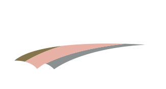 Logo Comptoir Gnral des Mtaux Prcieux